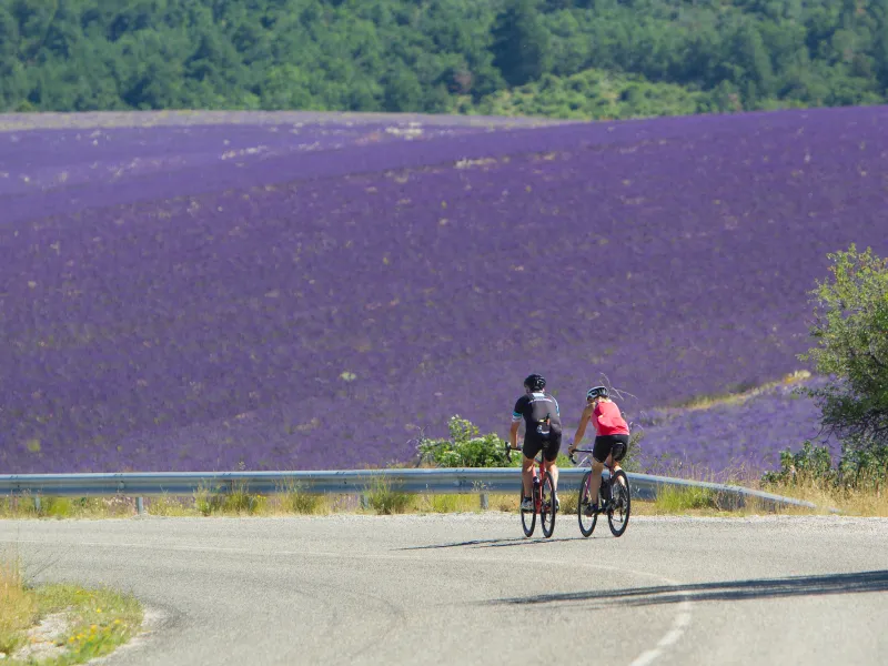 Cyclistes dans les Baronnies
