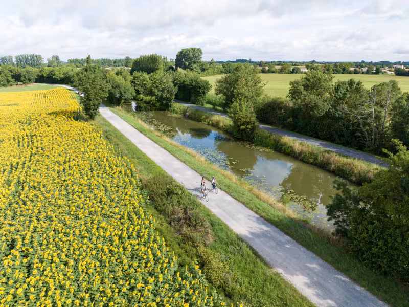 Au fil des champs à vélo - Damvix, Vendée