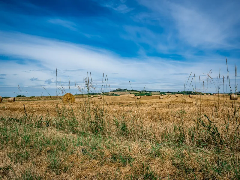 La Limagne vers Luzillat