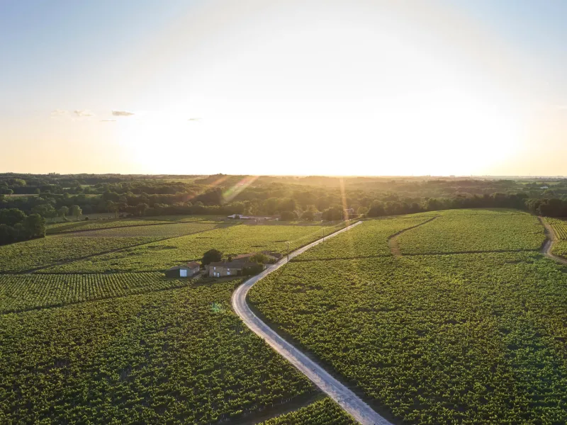 Route du Vignoble Nantais à vélo