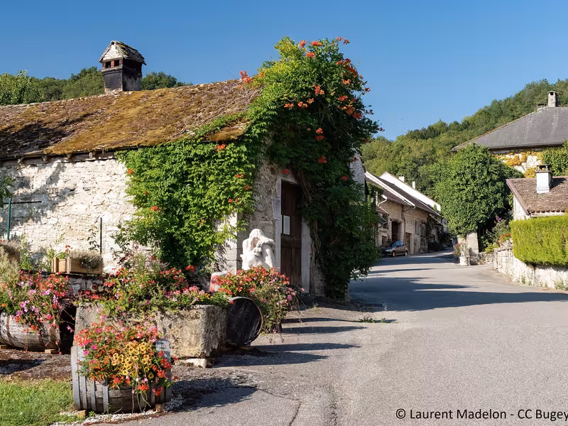 Village vigneron de Vongnes