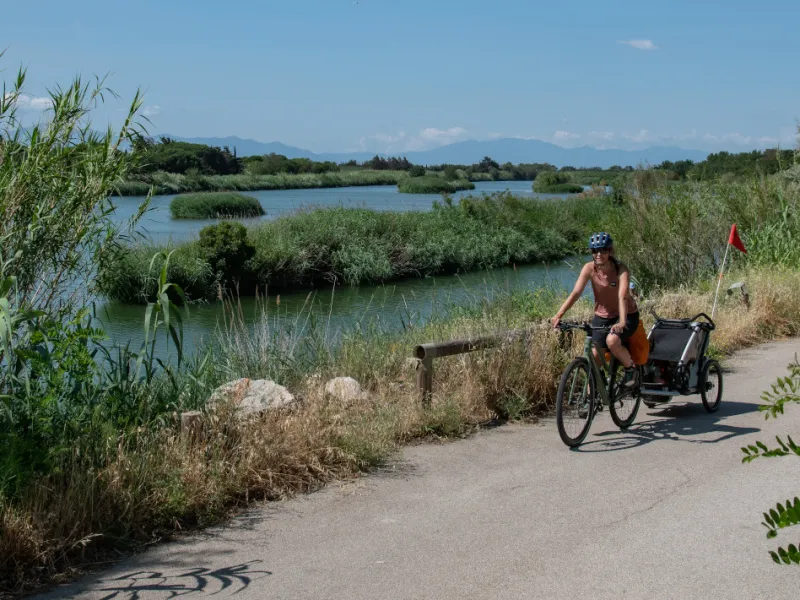 Cap sur la mer à vélo via la voie verte vers Barcarès