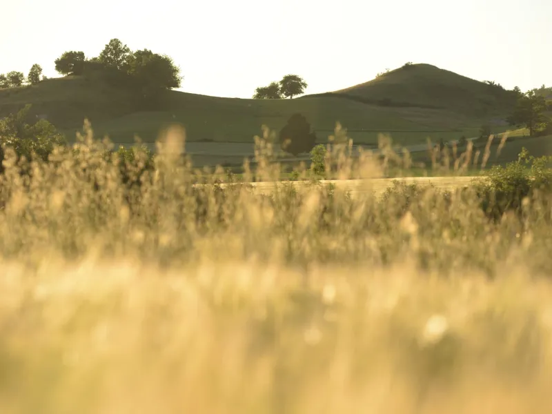 Vue de Beaulieu sur les sucs du Velay