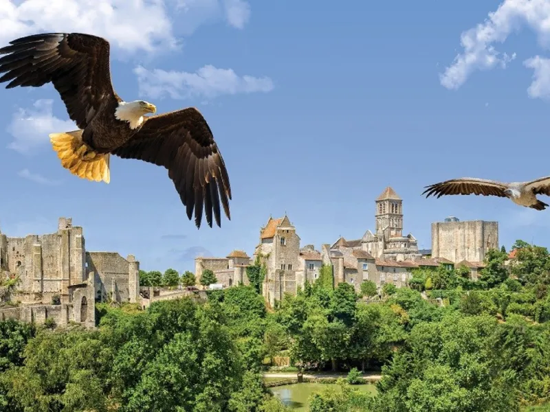 Aigles au dessus de Chauvigny