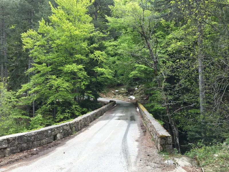 Dans le col de Verde