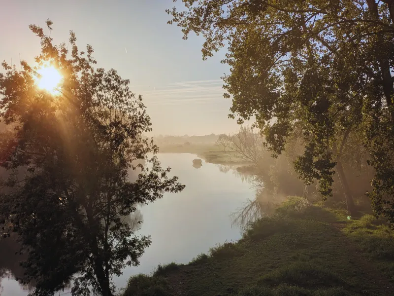 Aube sur l'Acheneau à Port Saint-Père