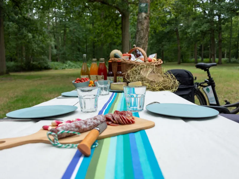 Pique-nique dans la forêt de Hez-Froidmont