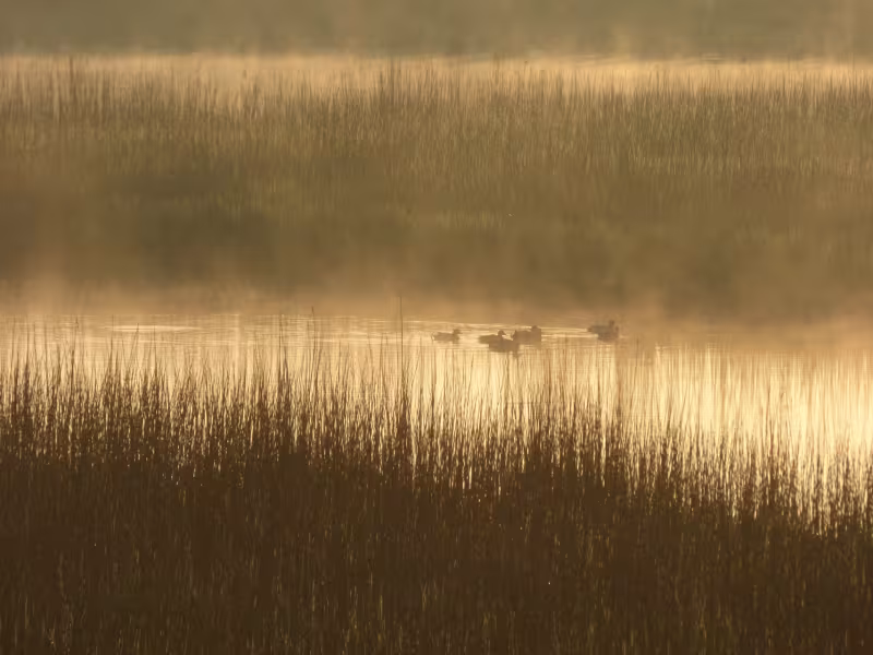 Brume sur la baie de Goulven