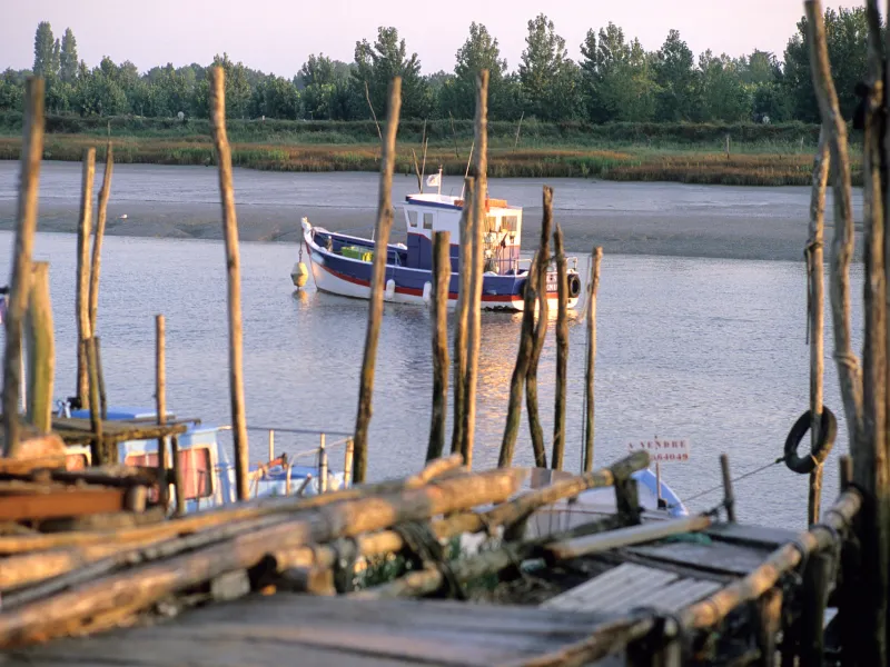 Bateau naviguant sur la Baie de l'Aiguillon