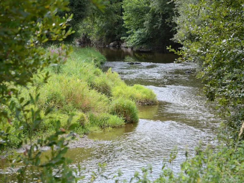 Sèvre Nantaise au Bocage Bressuirais