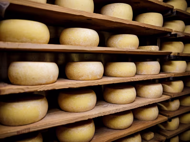 Fromages ariégeois boucle des sabots de Bethmale