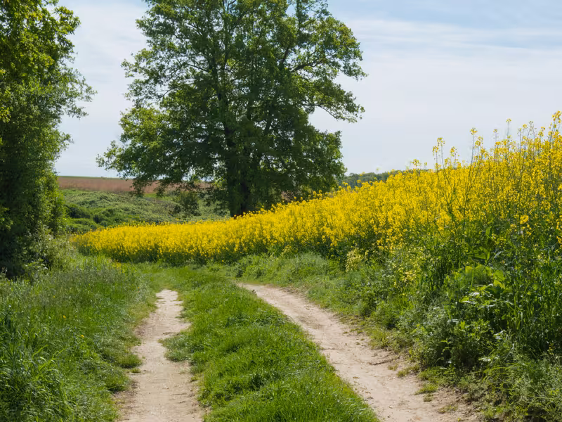 Chemin vers Racan