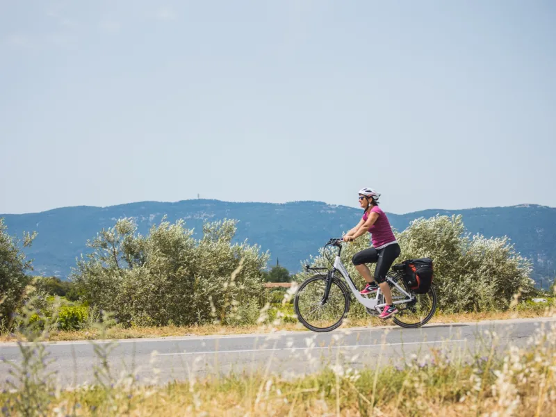 Cycliste à Cabrières d'Aigues