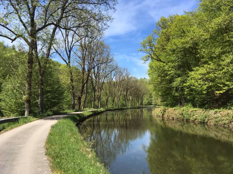 Le canal des Vosges au printemps