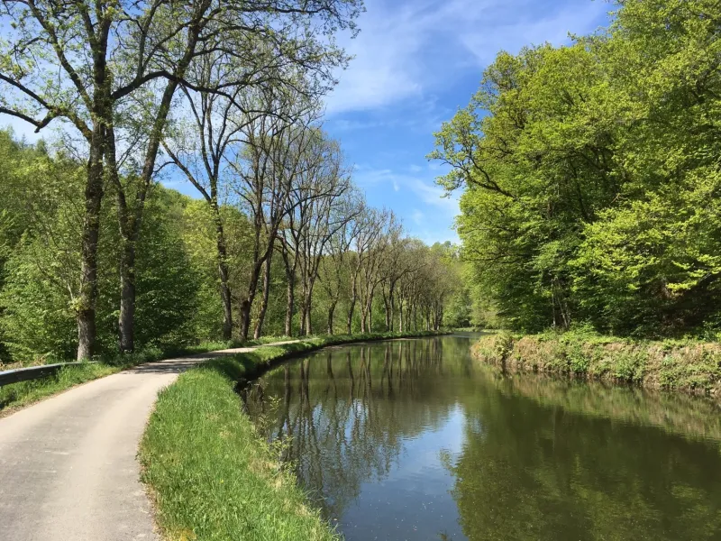 Le canal des Vosges au printemps