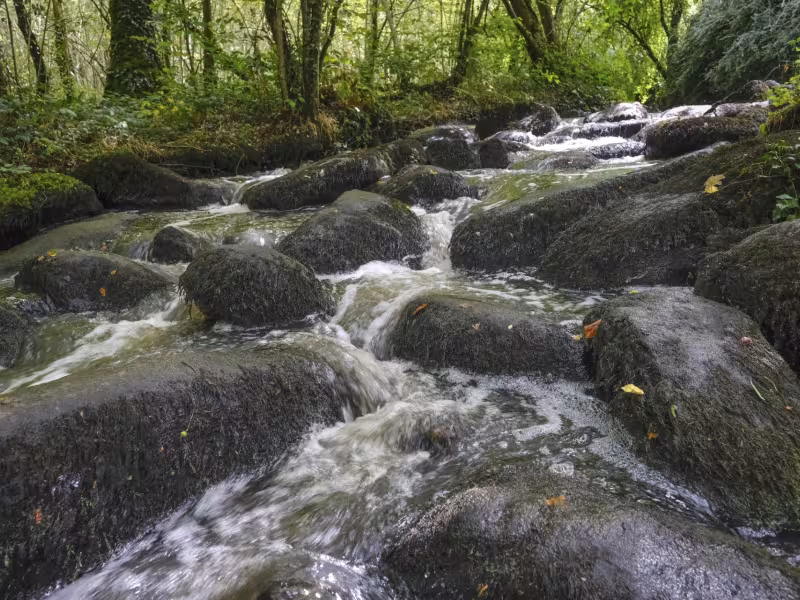 Cascades du Pays de Vire