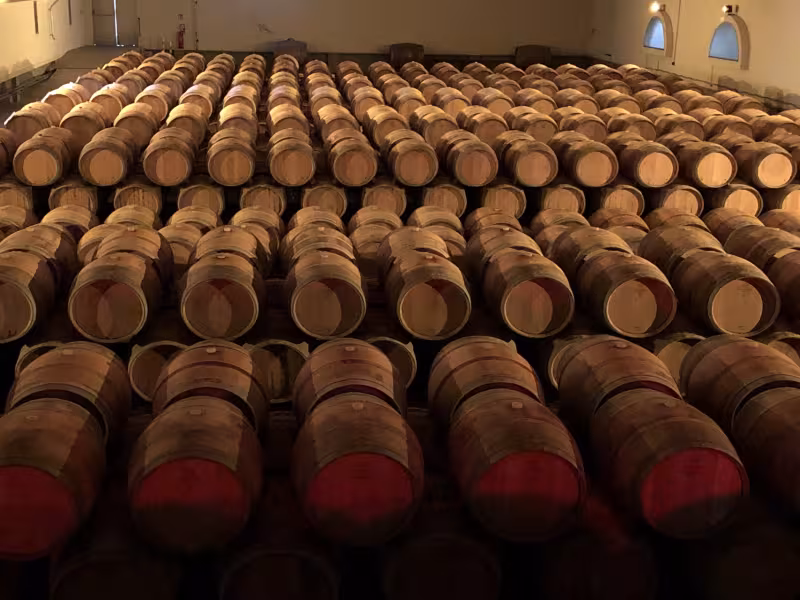 Cave des vignerons de Buzet