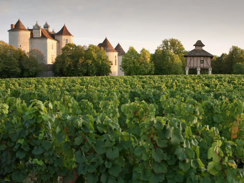 Château Lagrezette - Vallée du Lot à vélo