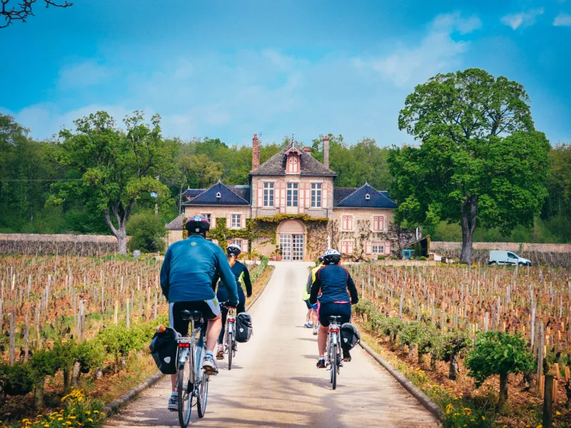 Châteaux et vignobles