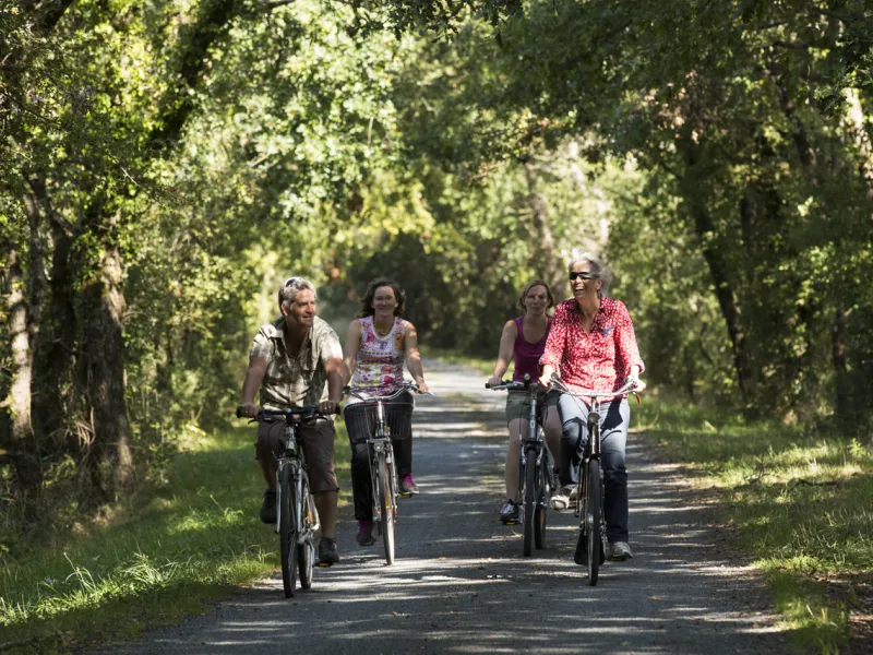 Entre amis sur la grande boucle à vélo des étangs de la Brenne
