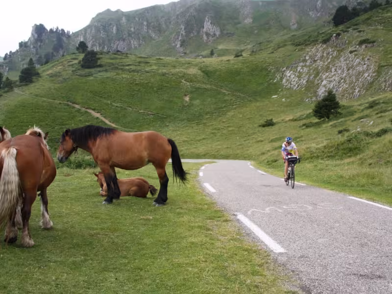 Cycliste dans le col de Pailhères