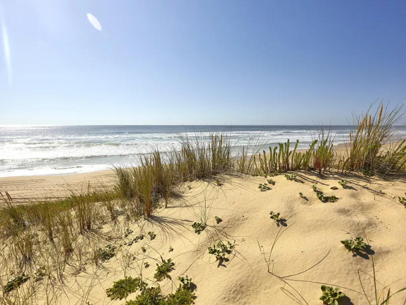 Les dunes du littoral Atlantique