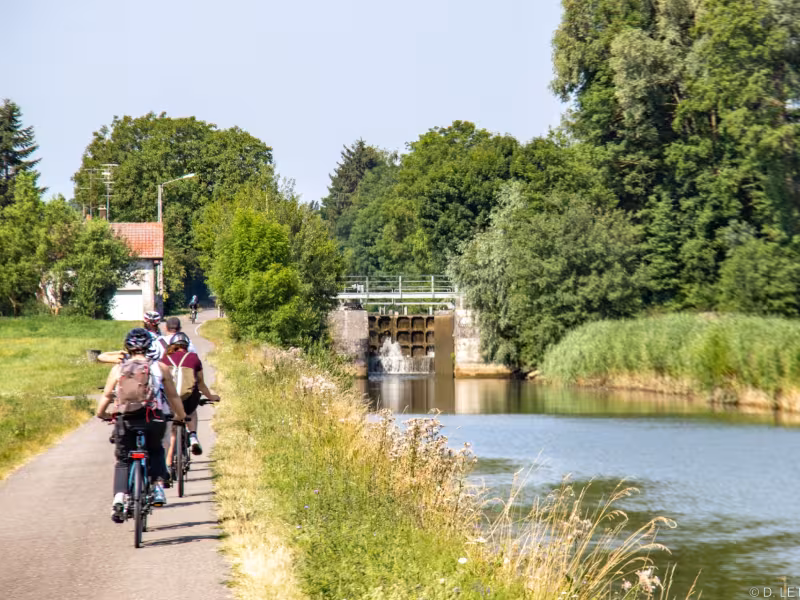 Cyclistes à Dannemarie