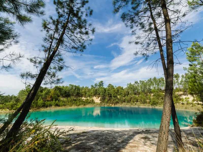Etang bleu et pins près de Clérac