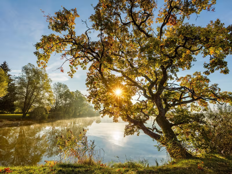 Etang du Pasquier
