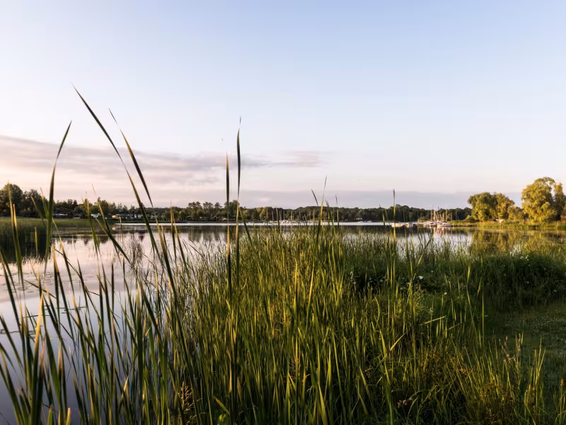 Etang du Stock