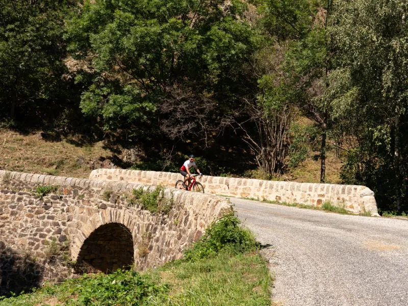 Cycliste sur un pont 