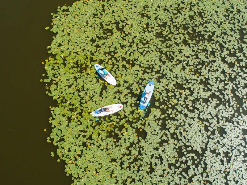 Etang de Soustons - vue aérienne