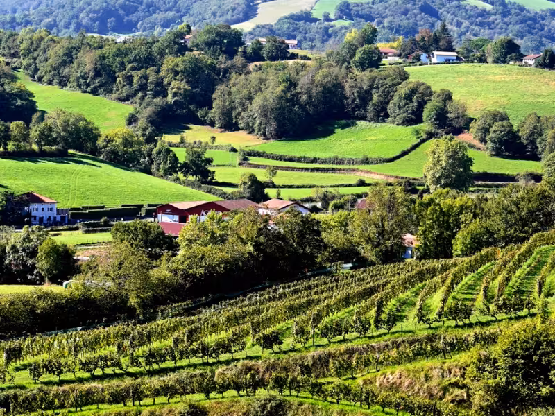 Vignoble Irouléguy