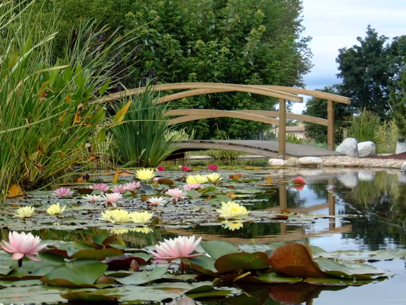 Jardins aquatiques à Saint-Didier-sur-Chalaronne