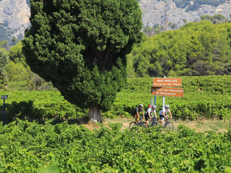 La Provence à vélo
