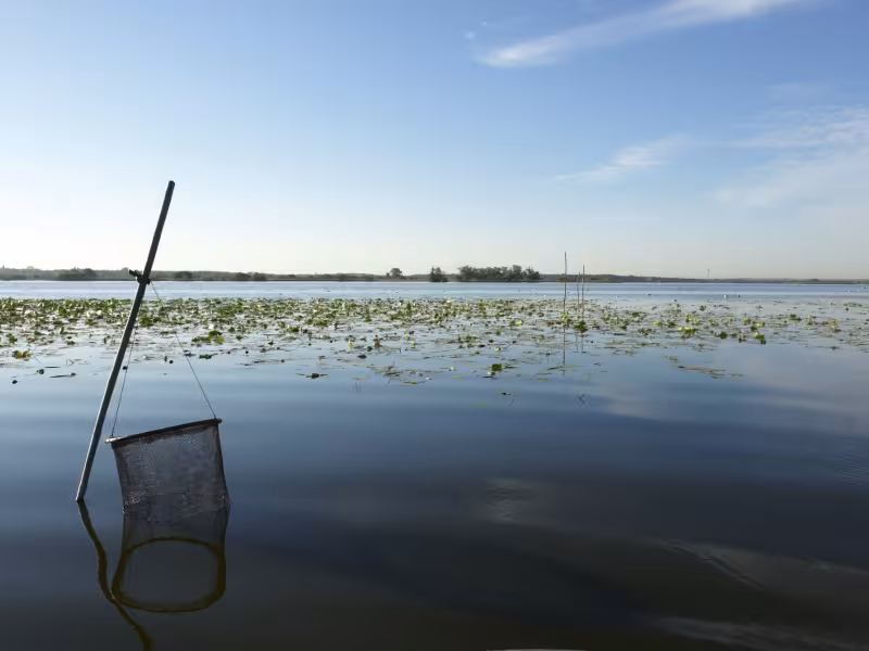 Lac de Grand Lieu près de Nantes