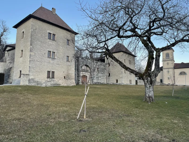 Le château de Clermont, passage incontournable de l'Albanais