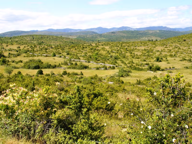 Le Causse de Blandas