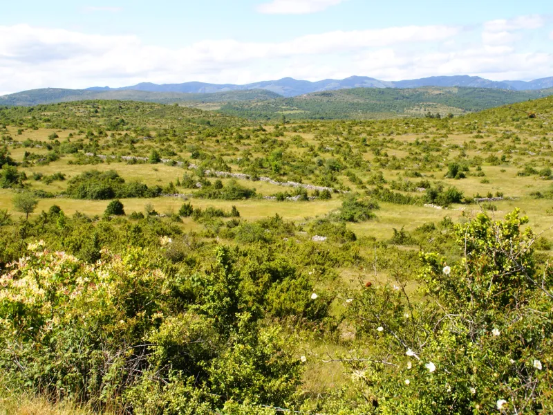 Le Causse de Blandas