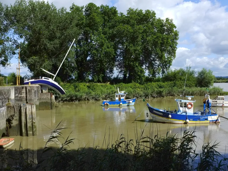 Erwin Wurm, Misconceivable, Canal de la Martinière, Le Pellerin, création pérenne Estuaire