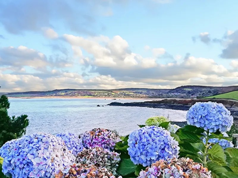 Le tour de la presqu'île du Cotentin 