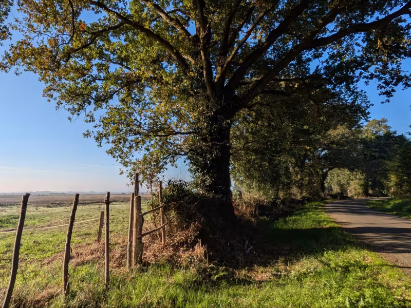 Marais du lac de Grandlieu