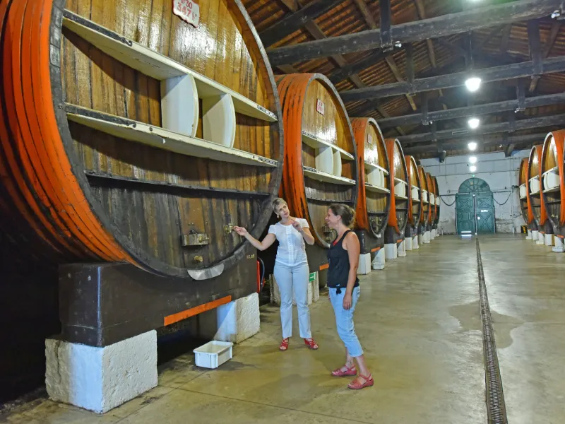 Visite des chais de Noilly Prat à Marseillan