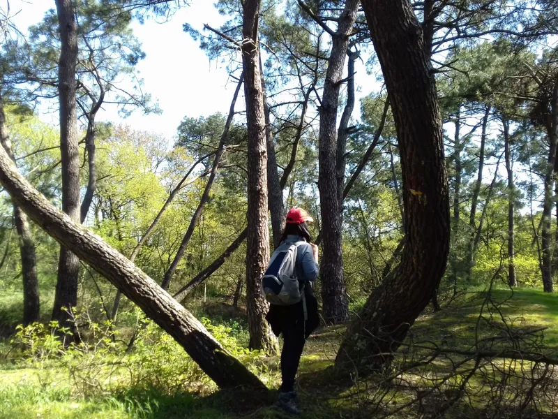 Randonnée à Moisdon la Rivière