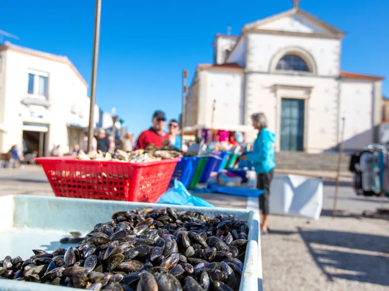 Moule de bouchots à Aiguillon sur Mer