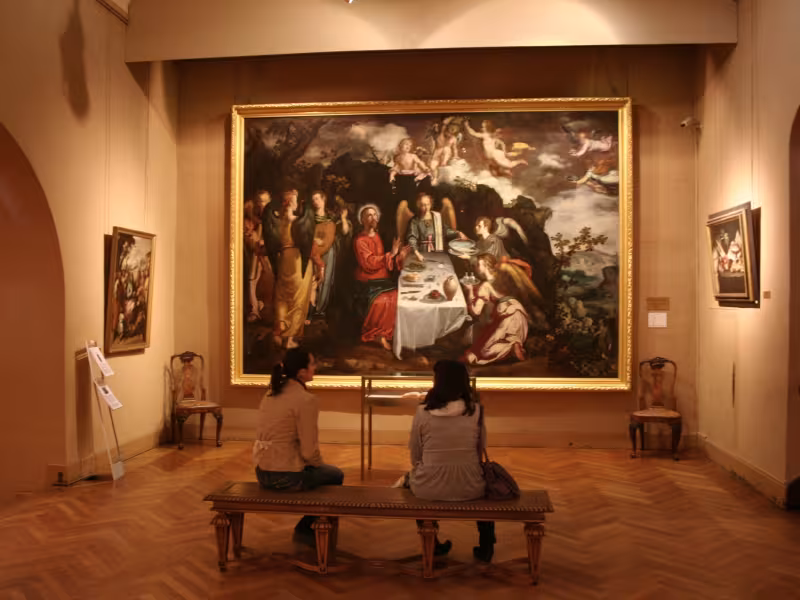 Musée Goya de Castres