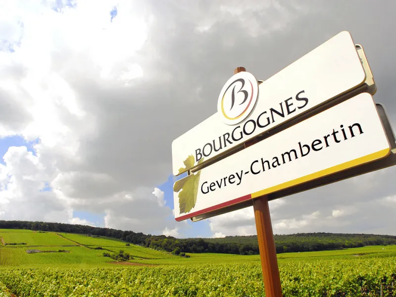 Entrée dans le vignoble Gevrey Chambertin