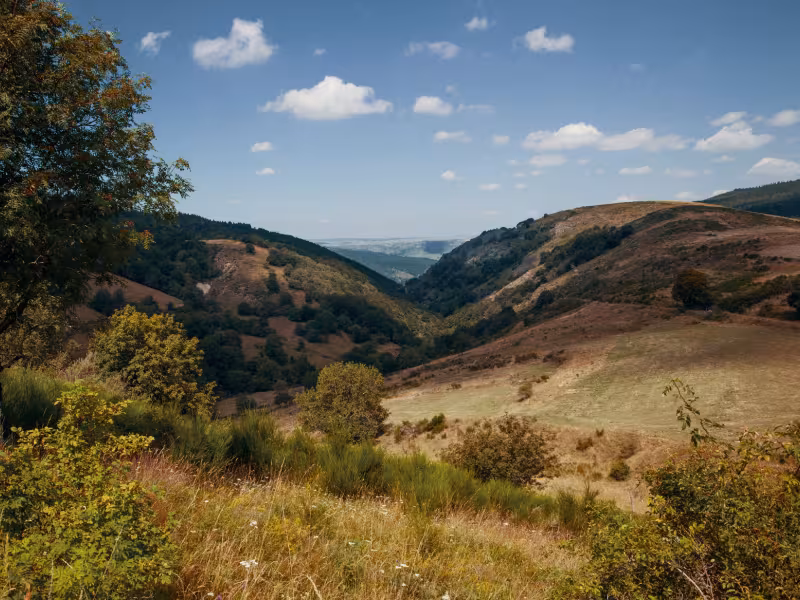 Paysage sur la vallée du Tarn
