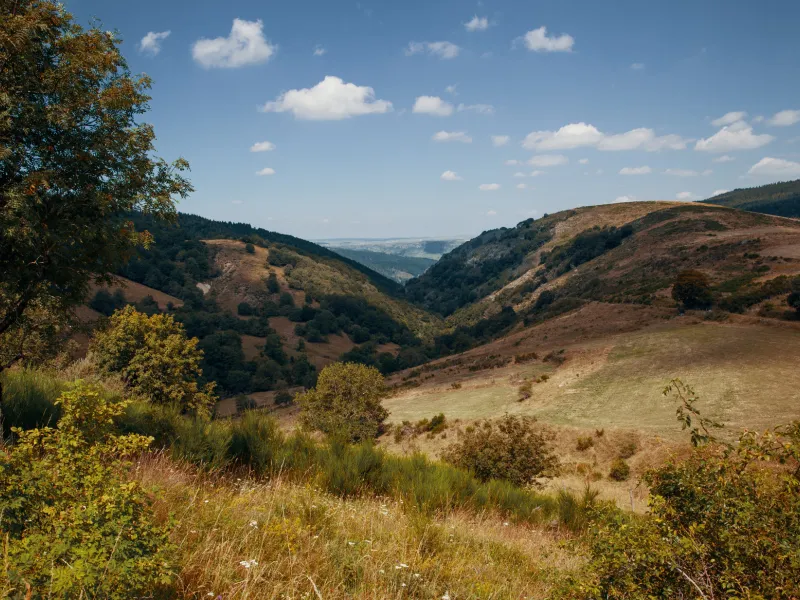 Paysage sur la vallée du Tarn
