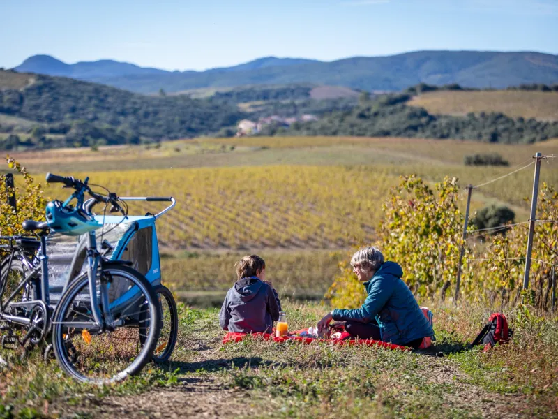 Pause dans les vignes
